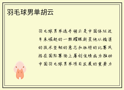 羽毛球男单胡云